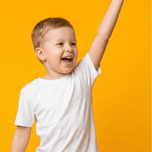 DanceWise multi-styled programme